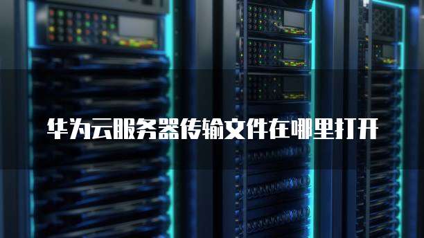 华为云服务器传输文件在哪里打开