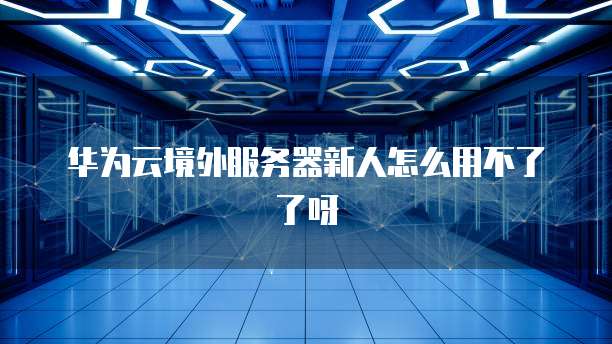 华为云境外服务器新人怎么用不了了呀