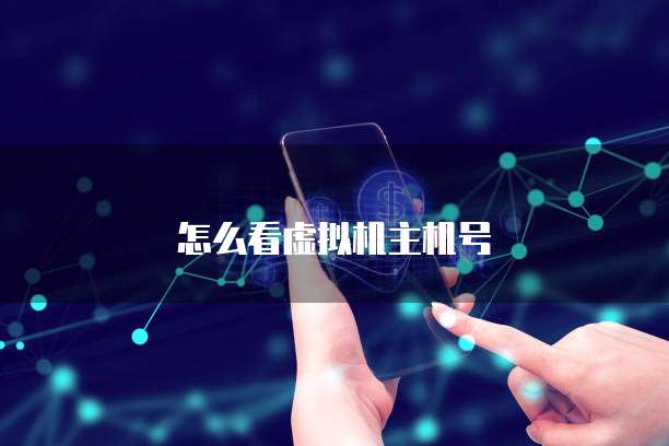 怎么看虚拟机主机号