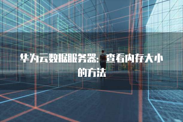 华为云数据服务器:查看内存大小的方法