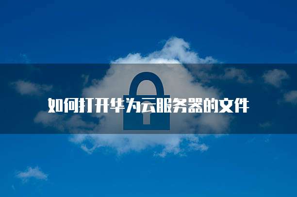 如何打开华为云服务器的文件