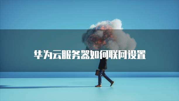 华为云服务器如何联网设置
