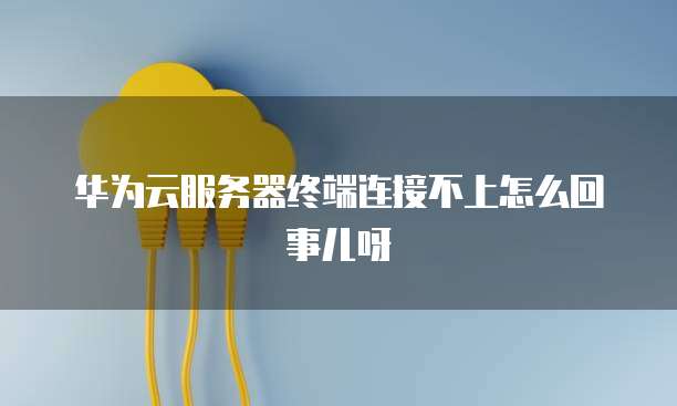 华为云服务器终端连接不上怎么回事儿呀