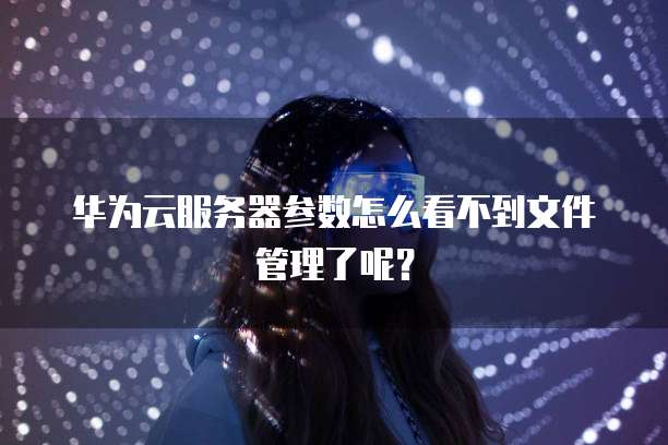 华为云服务器参数怎么看不到文件管理了呢？