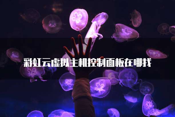 彩虹云虚拟主机控制面板在哪找