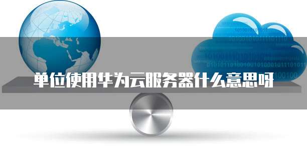 单位使用华为云服务器什么意思呀