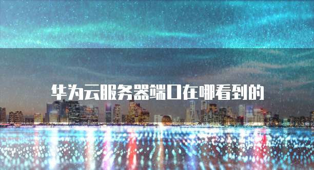 华为云服务器端口在哪看到的