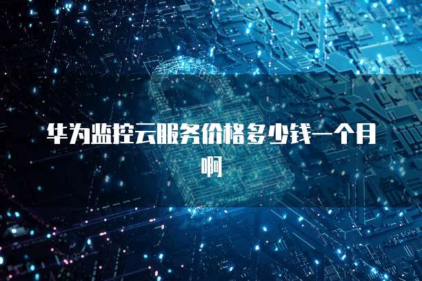 华为监控云服务价格多少钱一个月啊