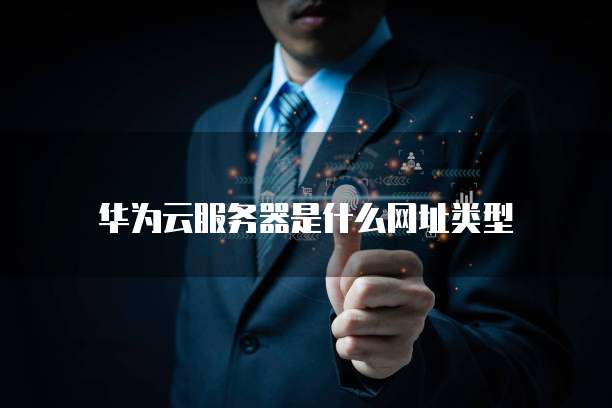 华为云服务器是什么网址类型