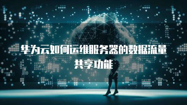 华为云如何运维服务器的数据流量共享功能