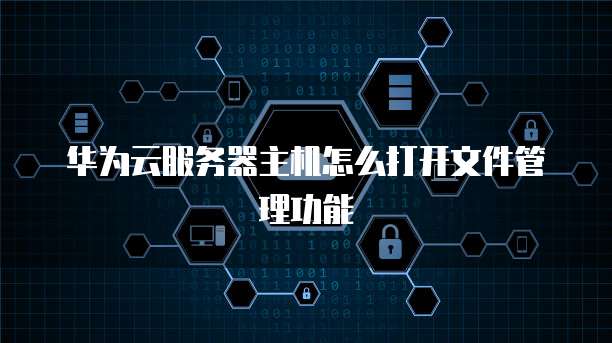 华为云服务器主机怎么打开文件管理功能