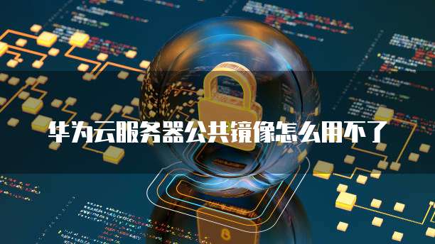 华为云服务器公共镜像怎么用不了