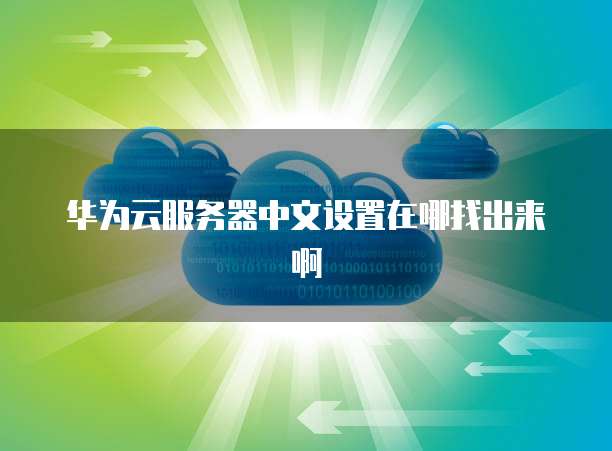 华为云服务器中文设置在哪找出来啊