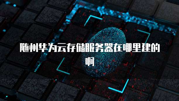 随州华为云存储服务器在哪里建的啊