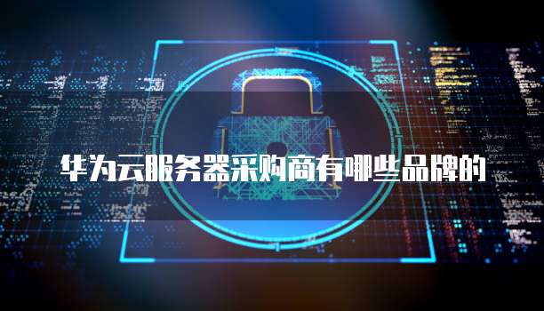 华为云服务器采购商有哪些品牌的