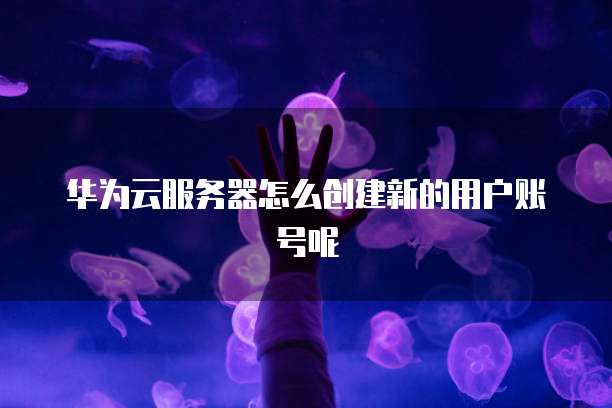 华为云服务器怎么创建新的用户账号呢