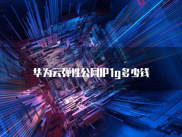 华为云弹性公网IP1g多少钱