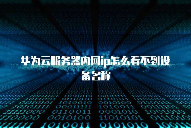 华为云服务器内网ip怎么看不到设备名称