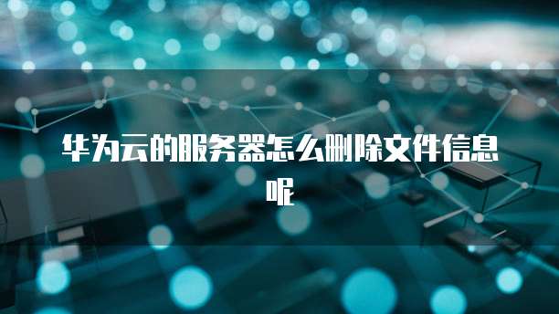 华为云的服务器怎么删除文件信息呢