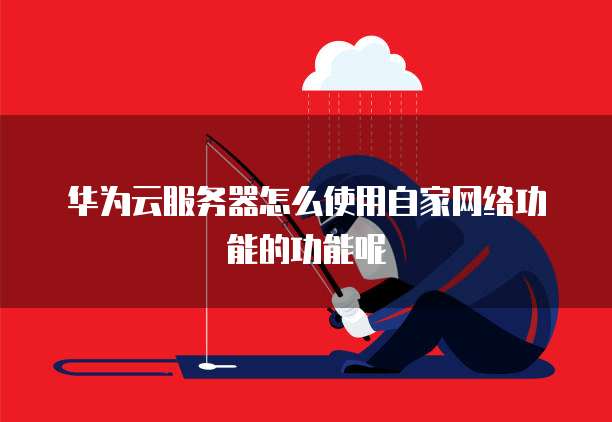华为云服务器怎么使用自家网络功能的功能呢