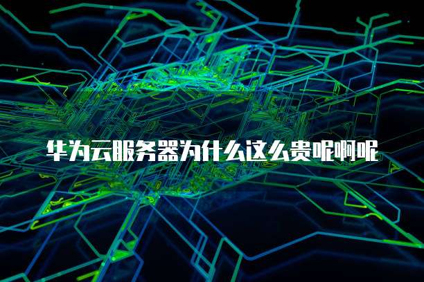 华为云服务器为什么这么贵呢啊呢