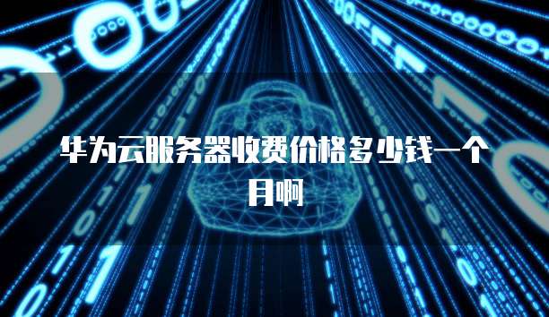 华为云服务器收费价格多少钱一个月啊