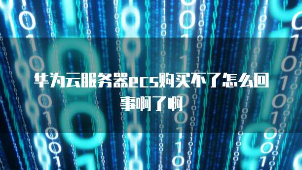 华为云服务器ecs购买不了怎么回事啊了啊