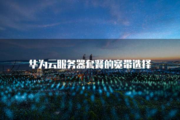 华为云服务器套餐的宽带选择