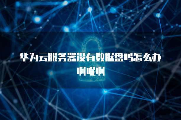 华为云服务器没有数据盘吗怎么办啊呢啊