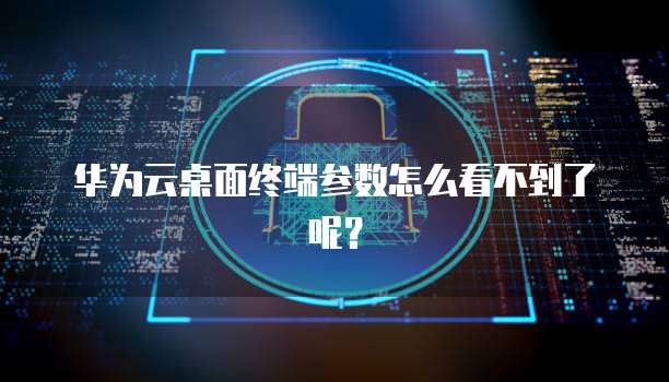 华为云桌面终端参数怎么看不到了呢?