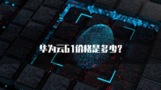 华为云G1价格是多少？