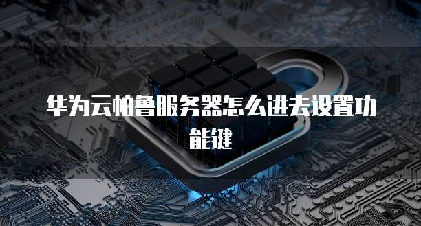 华为云帕鲁服务器怎么进去设置功能键