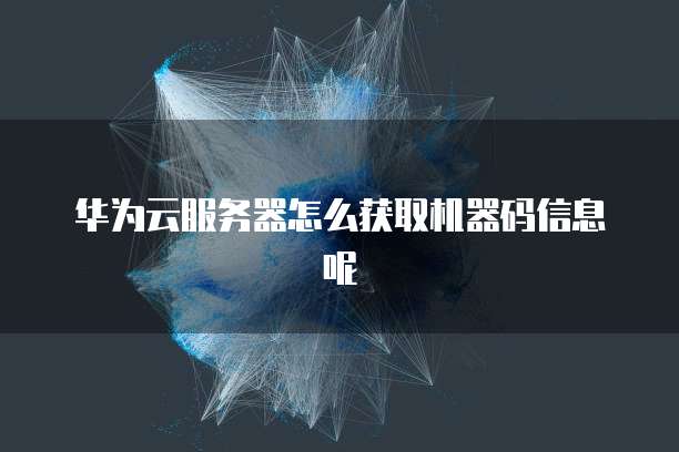 华为云服务器怎么获取机器码信息呢