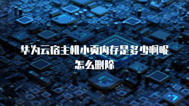 华为云宿主机小页内存是多少啊呢怎么删除