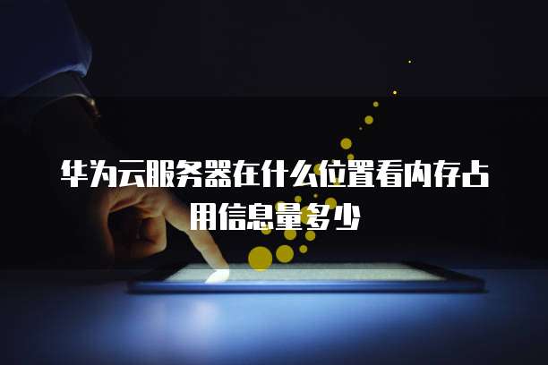 华为云服务器在什么位置看内存占用信息量多少
