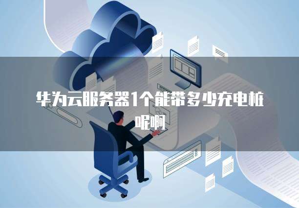 华为云服务器1个能带多少充电桩呢啊
