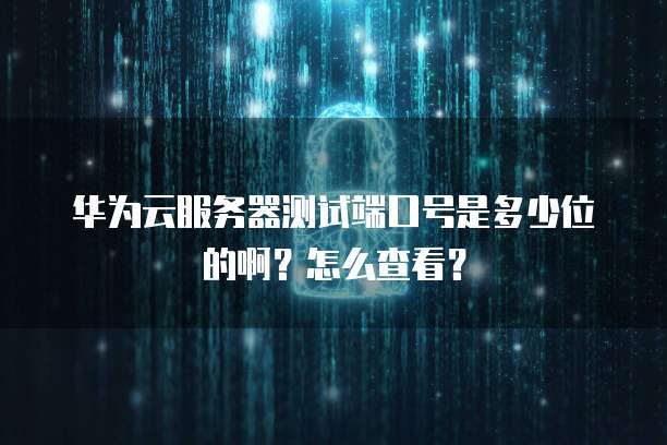 华为云服务器测试端口号是多少位的啊?怎么查看?