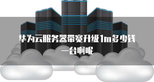 华为云服务器带宽升级1m多少钱一台啊呢