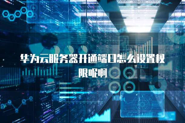 华为云服务器开通端口怎么设置权限呢啊