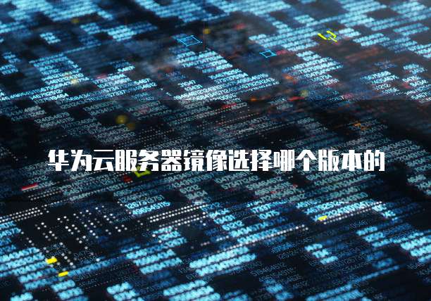 华为云服务器镜像选择哪个版本的
