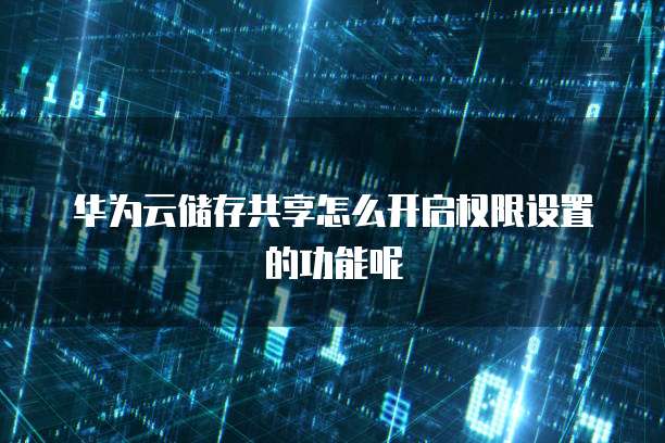 华为云储存共享怎么开启权限设置的功能呢