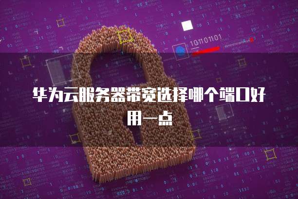 华为云服务器带宽选择哪个端口好用一点
