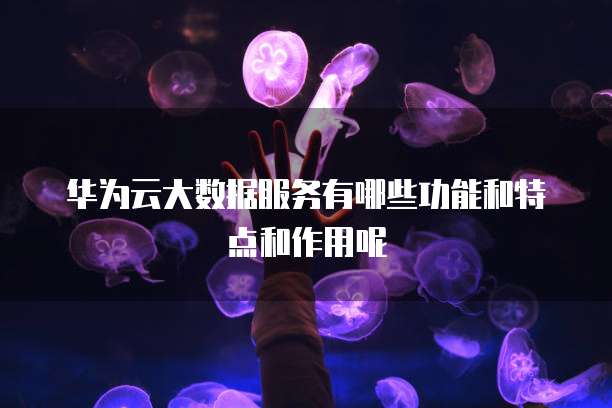 华为云大数据服务有哪些功能和特点和作用呢