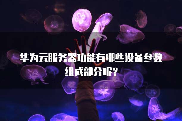 华为云服务器功能有哪些设备参数组成部分呢?