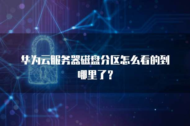华为云服务器磁盘分区怎么看的到哪里了？