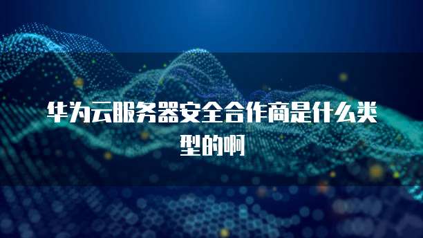 华为云服务器安全合作商是什么类型的啊