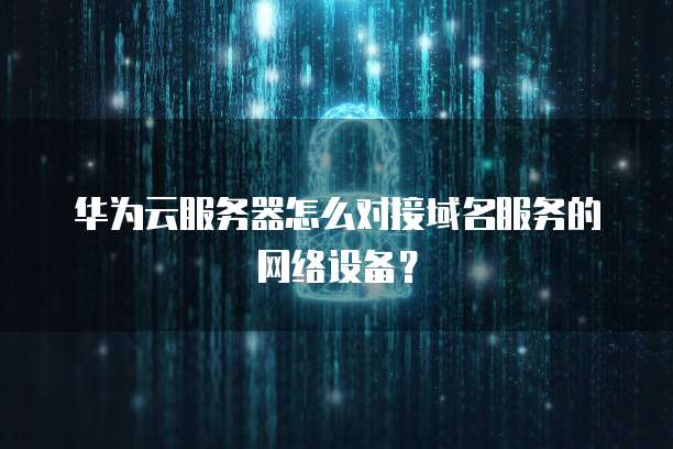 华为云服务器怎么对接域名服务的网络设备?