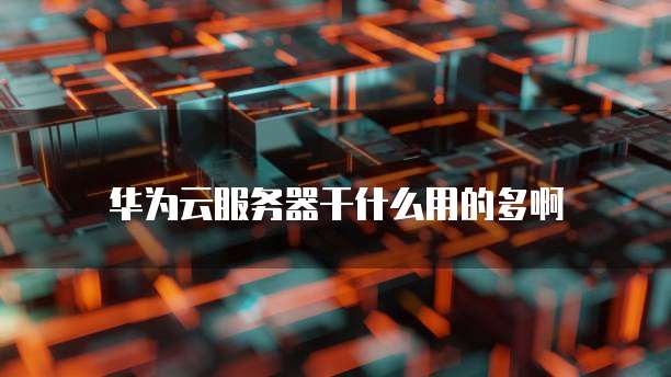 华为云服务器干什么用的多啊