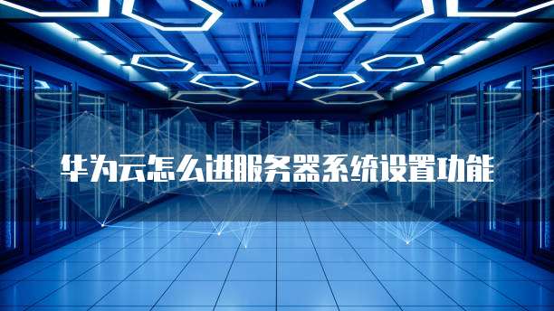 华为云怎么进服务器系统设置功能