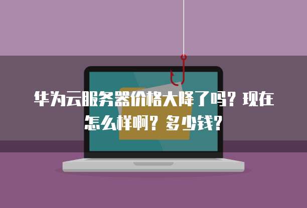 华为云服务器价格大降了吗？现在怎么样啊？多少钱？